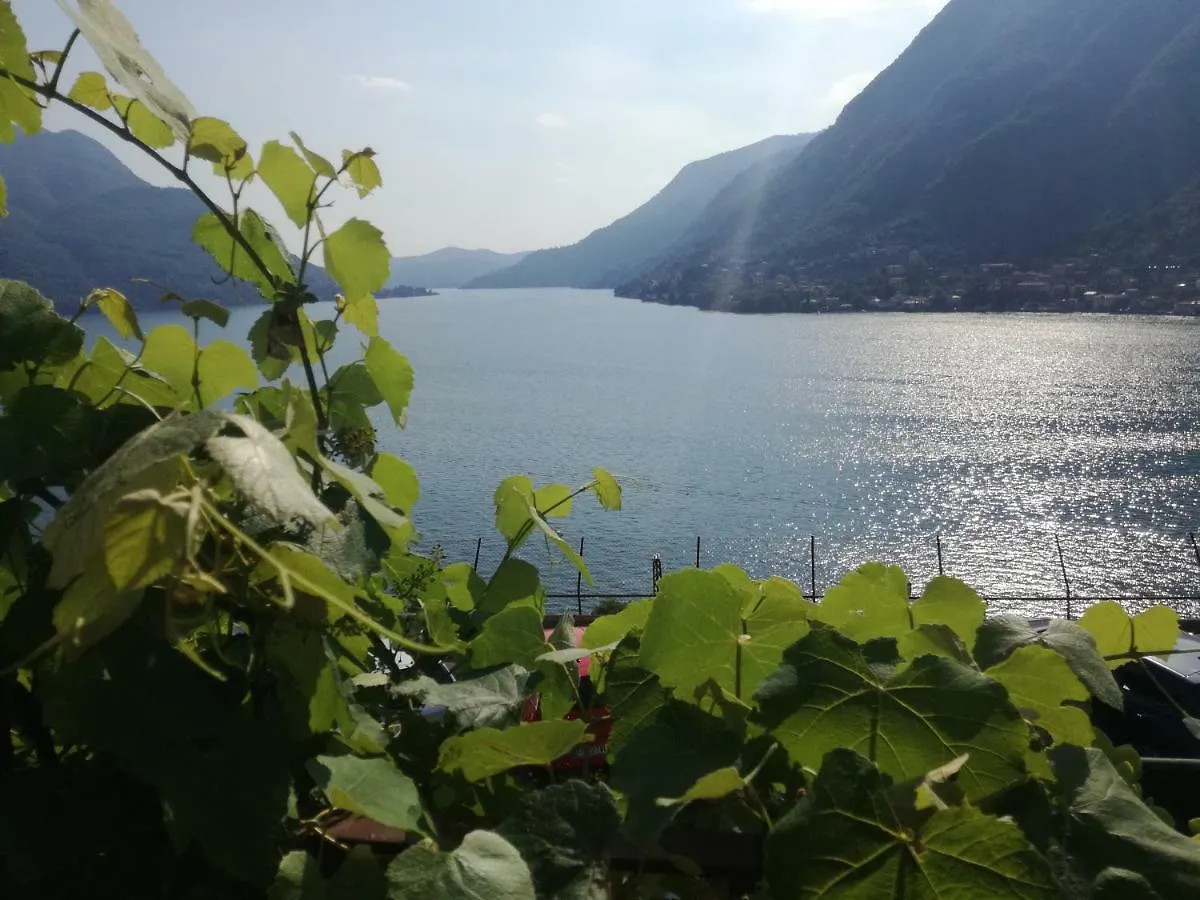 Panorama Apartment Pognana Lario